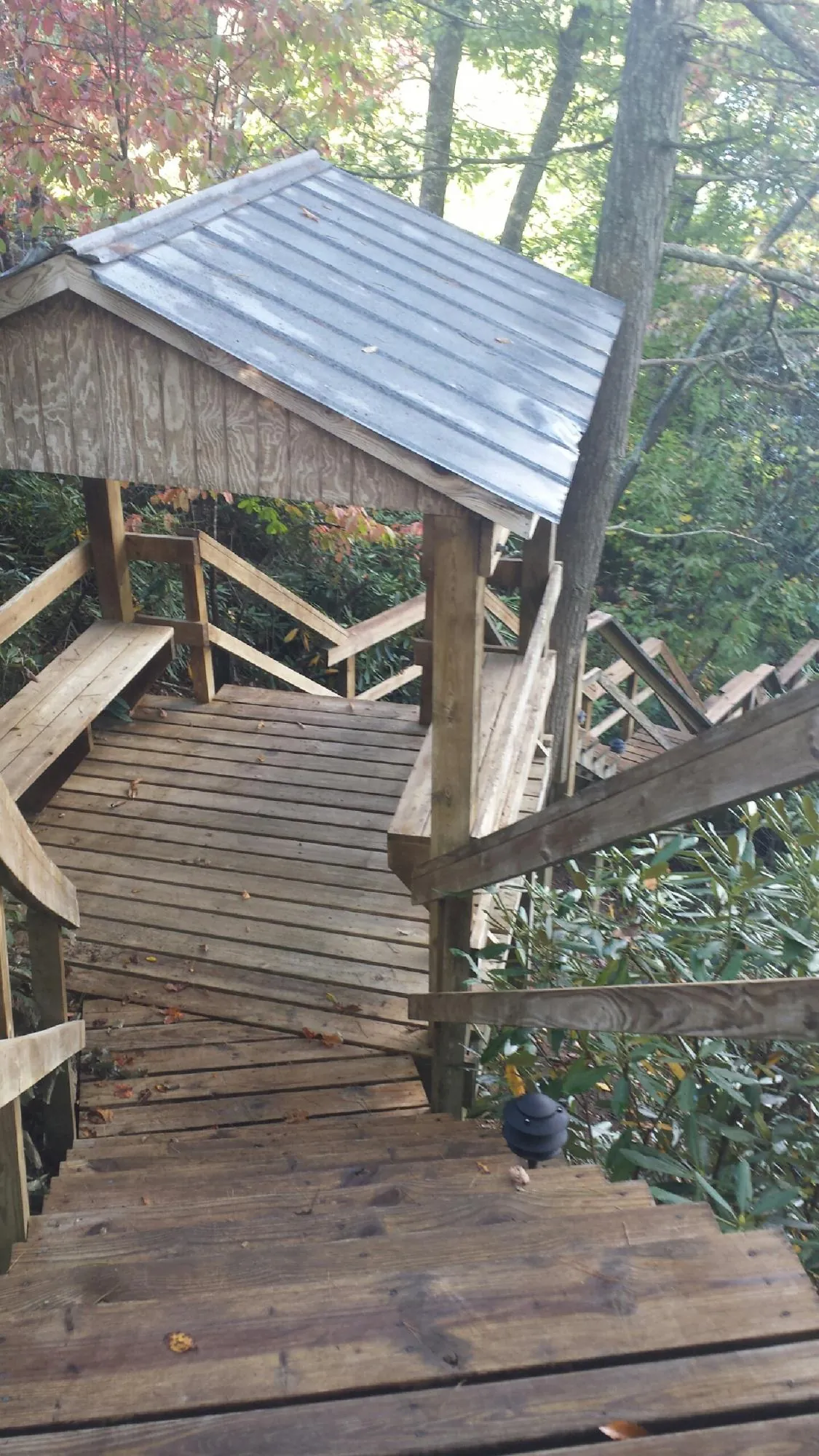 Metal roofed shelter over wooden steps on a wooded walkway — Skylight Repair & Installation work by our crew in Monett